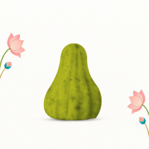 Kaju Paan Modak